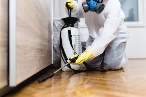 Best Flea Control Services  in Cairo, GA