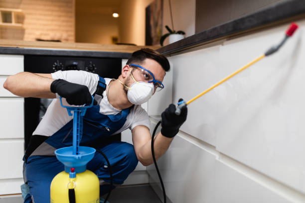 Best Residential Pest Control  in Cairo, GA