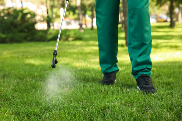 Best Cockroach Control Services  in Cairo, GA