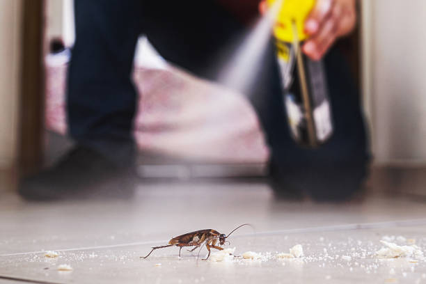 Pest Prevention Services in Cairo, GA