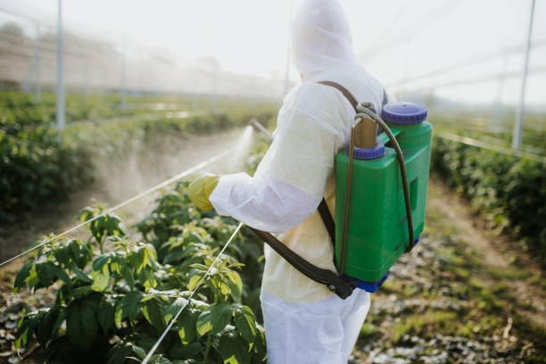 Cairo, GA Pest Control Company